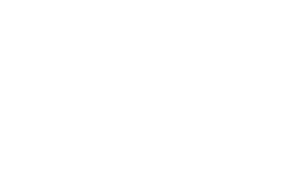 Food_lincoln